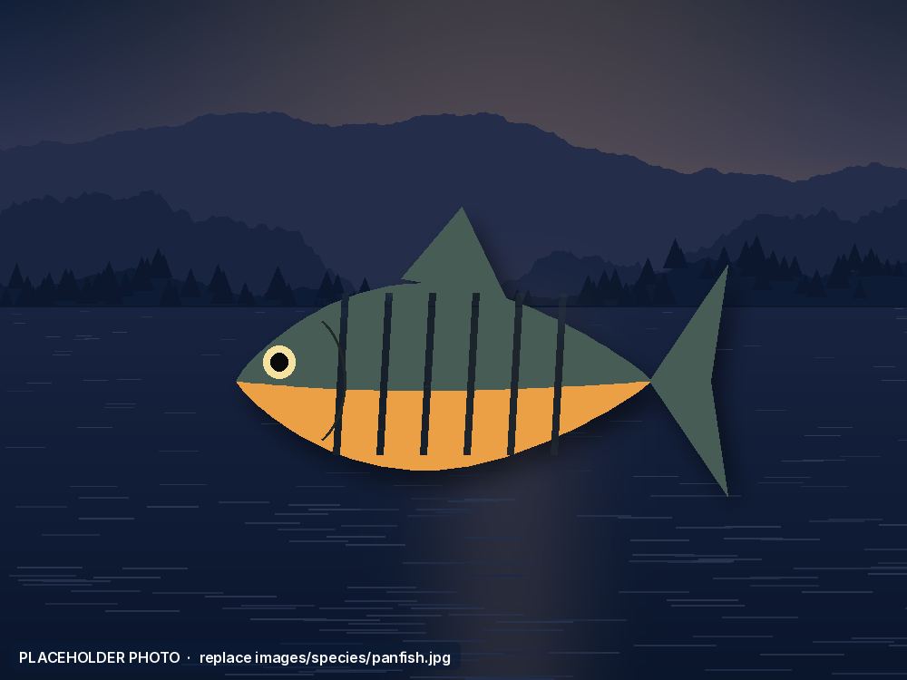 Panfish caught on a Utah reservoir